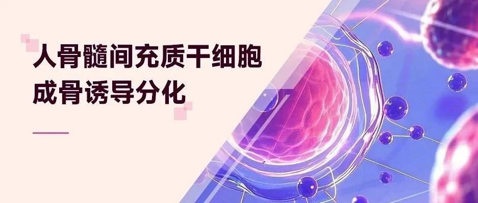 间充质干细胞成骨诱导分化：关键机制与实验要点详解——附指导手册免费下载