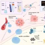 Biomaterials：多模态成像纳米气泡可通过细胞膜破坏增强声动力疗法以有效治疗黑色素瘤