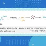 【ACS Catal.】西安交大郭丽娜课题组：镍催化BCB-烯丙基酰胺和酯的羰基化四组分螺环级联反应