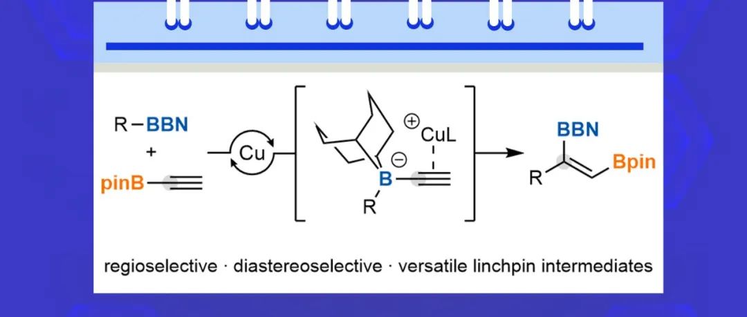 【Nat. Chem.】华盛顿大学Gojko Lalic组：铜催化烷基硼烷和炔基硼酸酯发生C(sp&#178;)插入同系化反应