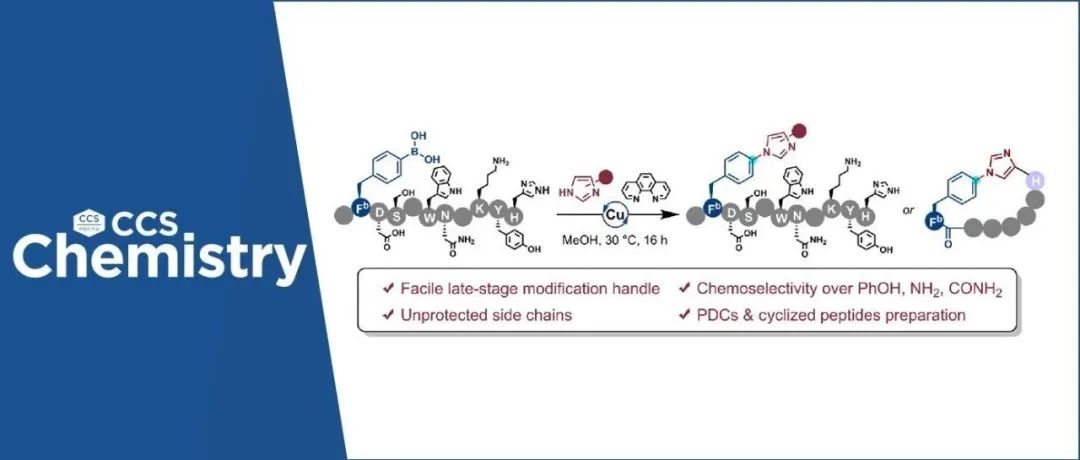 【CCS Chem.】浙江大学滕鹏/张鹏鹏/俞永平&南开大学陈弓：铜催化的侧链无保护肽类后期修饰新策略