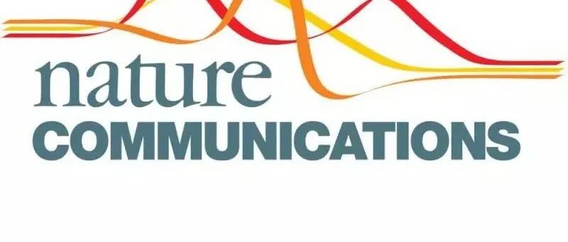 Nat.Commun.：极性与分子构象耦合关系的纳尺度表征新方法