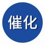 新加坡南洋理工大学陈鹏教授课题组Angew：原子级金属‒非金属催化对协同驱动高效仿酶催化