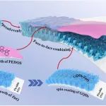 新疆大学吐尔逊·阿不都热依木教授课题组：Carbon/JAC：导电聚合物柔性自供电紫外光探测器构筑及性能研究