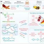 四川大学陈琳研究员/汪秀丽教授团队 Macromolecules：刺激响应仿生设计实现易回收的阻燃聚碳酸酯