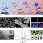 浙江理工大学吕维扬团队等Engineering：3D流通式助催化剂系统助力高级氧化过程