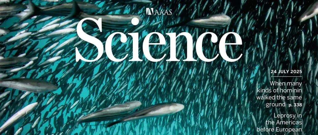 Science｜南科大联合东方理工等团队揭示2023年全球破纪录海洋热浪的驱动机制