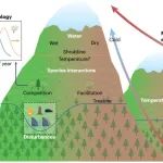 Nature Reviews Earth & Environment|青藏高原所梁尔源团队：高山树线与灌木线格局、过程与驱动因素