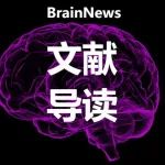 PNAS：深圳大学罗灿煌合作揭示工作记忆转化为具体行为的新机制