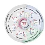四川大学李瑞祥教授/徐嘉麒发表Chem. Soc. Rev.：近红外光驱动二氧化碳转化研究进展与展望