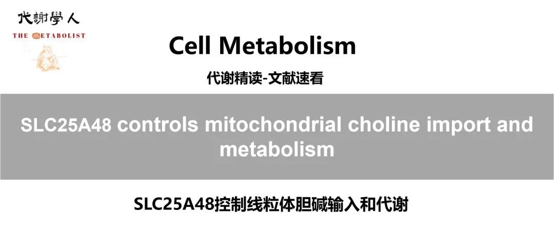 【视频号】Cell Metabolism：胆碱转运供碳新，线粒体中贯通循（附文字版链接）