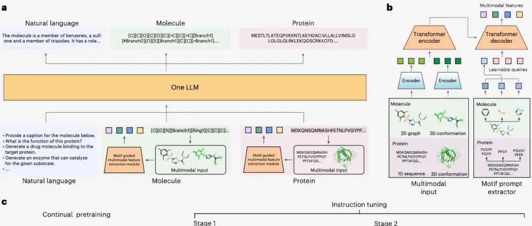 NMI｜浙江大学陈华钧等：根据人类的指示理解和设计生物分子的多模态大语言模型