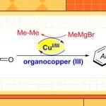 【J. Org. Chem.】南工沈如伟课题组：铜催化苯并氧杂[3.3.1]桥环骨架的还原性重排反应