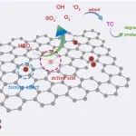 文献速递|西南石油大学JHM:二维MOF衍生的钴和氮掺杂的超薄富氧碳纳米片用于高效的类Fenton催化作用