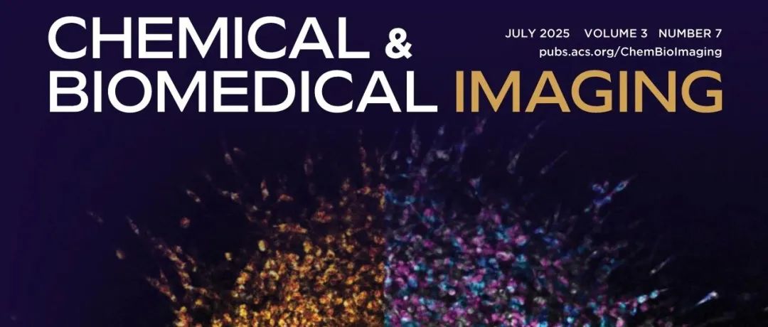 Chemical & Biomedical lmaging 2025年第七期发布：3D细胞球侵袭成像、核磁共振成像、质谱成像等