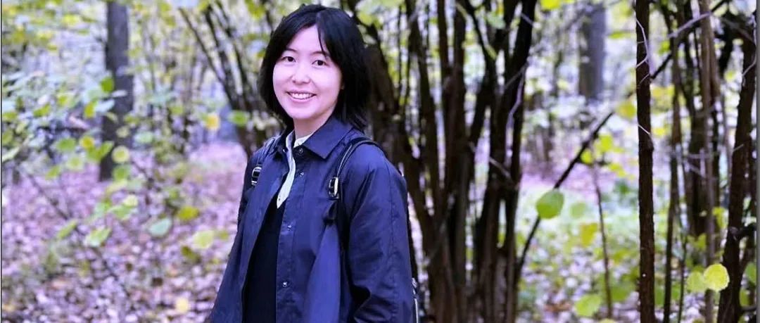 周红 | 俄罗斯视域下的新时代中国国家形象：认知、评价与特征