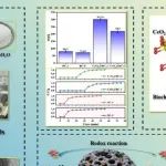 中国地质大学（武汉）CEJ：闪蒸焦耳加热60秒，让CeO&#8322;@生物炭“卷”出甲苯吸附新纪录！