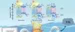 福州大学范功端、徐开钦团队CEJ：压电效应与氧空位协同促进MoS2/BiOIO3光催化降解17β-雌二醇