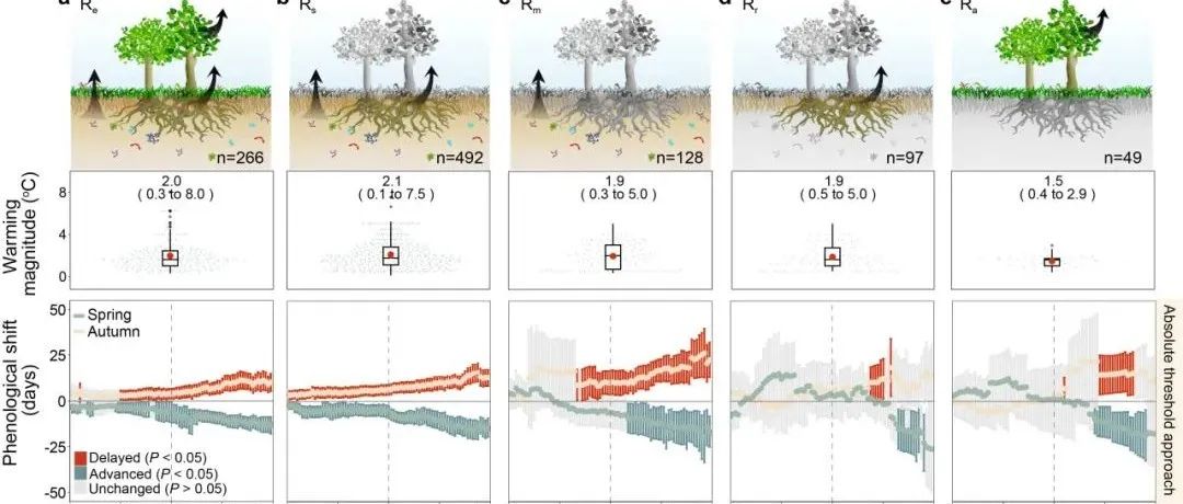 兰州大学研究团队《Nature Geoscience》最新成果！