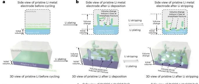 山大陈皓/刘宏、浙大高超 Nat Nanotech: 零形变全封闭石墨烯复合载体结构设计 →≥99.99%的锂沉积-溶解库伦效率