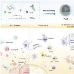 JACS：声破坏聚合物纳米胶囊可时空调节DC-T细胞相互作用以联合原位疫苗接种和细胞因子治疗