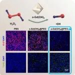 JACS：非晶化诱导的Gd(OH)3纳米笼电子调控可增强酶活性以实现抗肿瘤应用