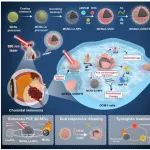 Nature Commun：合成碳基镧系上转化纳米颗粒用于实现增强的光热治疗