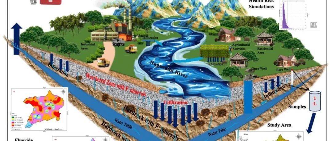 Geosci. Front. | 地下水氟化物的季节性影响及健康危害评估：基于含水层人工回补的原位修复方案