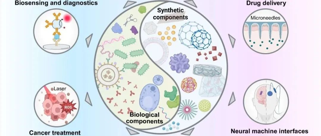 【Coord.Chem.Rev】生物医学中的生物杂化催化
