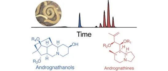 阅读 JACS丨从千足虫分泌物中发现复杂杂环生物碱