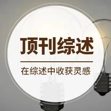 清华王铁峰和蓝晓程团队Chem. Soc. Rev.综述：热催化乙炔选择性加氢进展