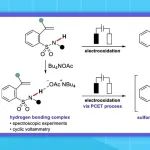 【JACS Au】冈山大学：通过氢键复合物的阳极氧化电化学生成磺酰胺基自由基：Benzosultam的电合成应用