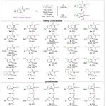 【CCS Chem.】南开大学王佰全：无需金属有机试剂的铁催化的芳基C&#8722;H键与CO&#8322;的还原羧化反应