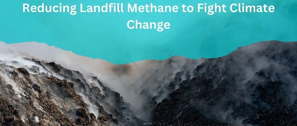 空天院程天海研究员团队《Nature Climate Change》最新成果！