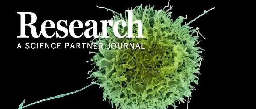 Research综述|NK细胞免疫检查点机制进展和更有效的癌症联合疗法