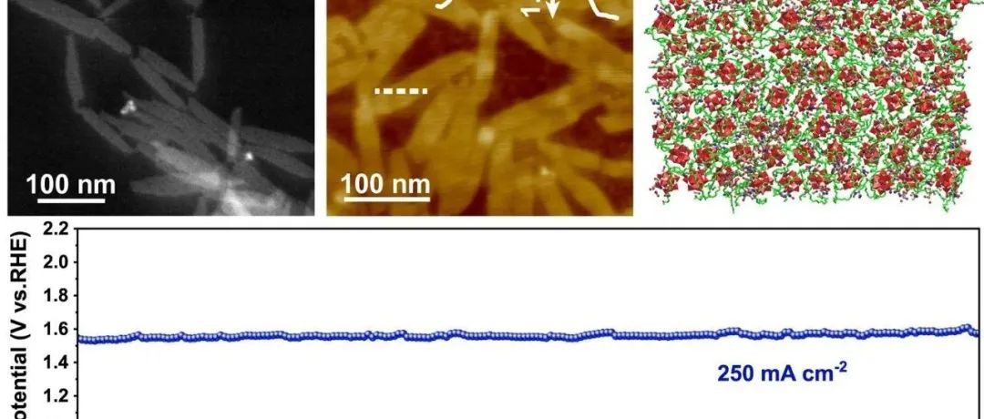 中科院宁波材料所何佩雷、上海大学赵宏滨和天津理工大学匙文雄合作通过团簇-晶核共组装策略实现高效稳定析氧反应