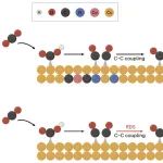 研究进展：新加坡国立大学林彦玮/奥克兰大学王子运-电合成乙烯 | Nature Synthesis