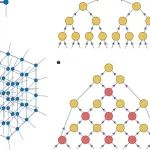 研究前沿：量子计算-张量网络|Nature Reviews Physics
