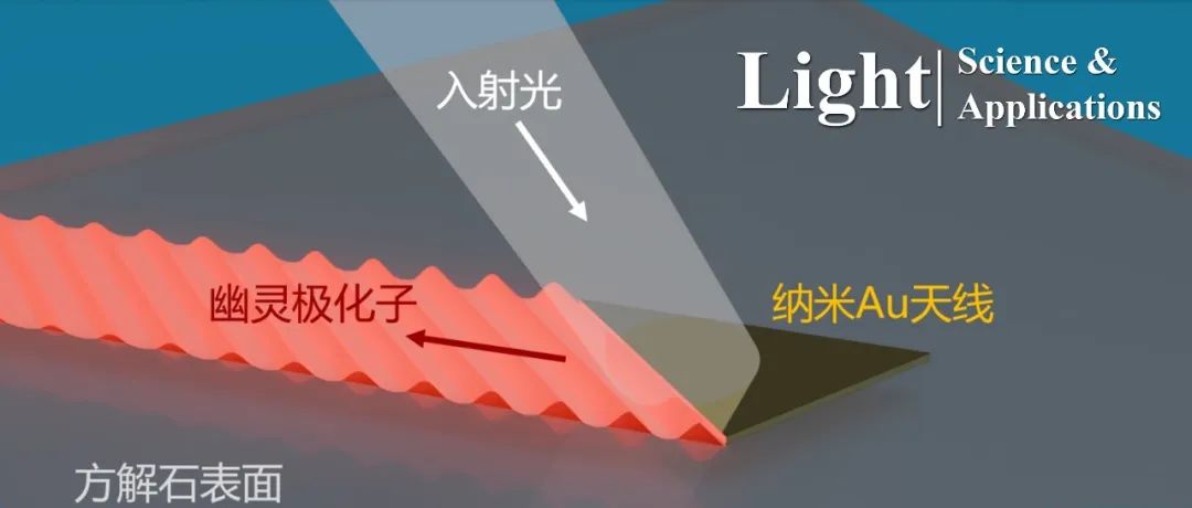 卢岳瑞/喻宗夫等 Light | 纳米天线“导航”实现“幽灵”光波长程传输