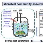 天津大学王灿团队Engineering：工程化生物处理系统中微生物群落组装的调控规则