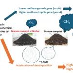 荷兰瓦赫宁根大学Keiji Jindo等SEH：一石二鸟——生物炭助力堆肥减排增质双提升