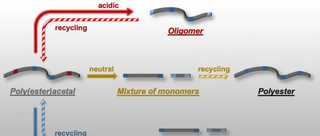 南卡罗来纳大学唐传兵教授团队 JACS: 可持续且正交闭环可回收的缩醛基长链聚酯材料