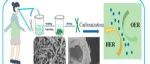西北师范大学《Energy Fuels》：生物质模板化制备Ni/NiO@C中空纤维复合材料