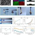 西安理工大学《Carbon》：新型高负载多孔N掺杂MXene/石墨烯/碳阴极，用于锌离子混合超级电容器