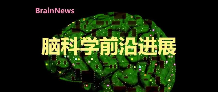 中南大学湘雅医院沈璐教授团队多项研究成果亮相AAIC 2025