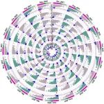 中国林科院亚林所助理研究员以第一作者身份在一区Top期刊（IF=7.4）上发表研究论文
