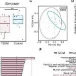 eLife | 四川大学李静研究发现自发性 2 型糖尿病恒河猴的多组学研究揭示肠道菌群可能促进过量棕榈酸的吸收