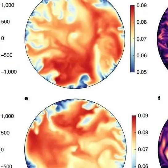 南方科技大学最新Nature