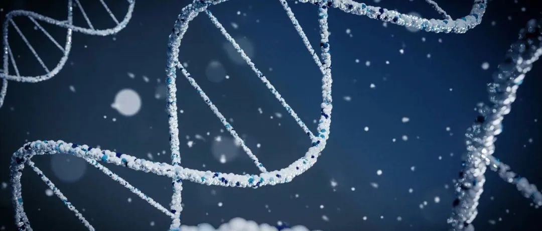 Wiley期刊Advanced Science发表中国科研团队研究成果，获《工人日报》和《人民政协网》报道关注