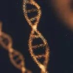 Adv Sci | 中国医学科学院崔胜，郝炜，中国科学院王玉梅：Schlafen 14蛋白识别、切割RNA双链区域发挥抗病毒功能